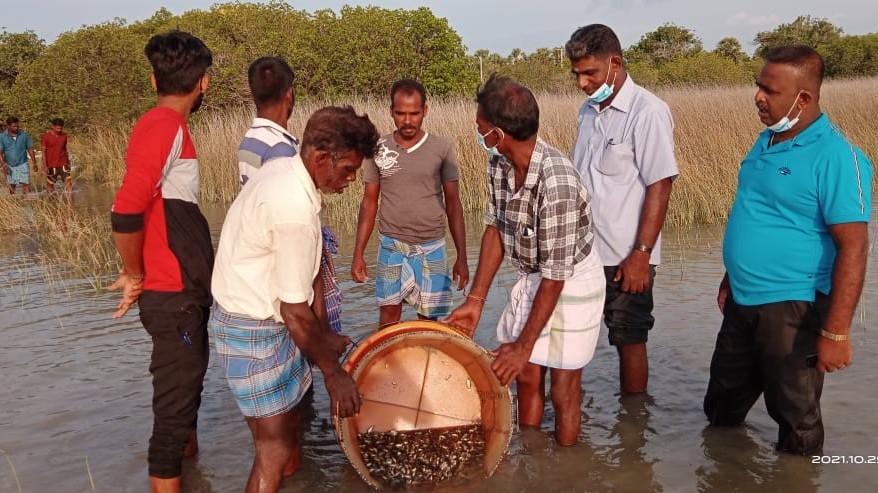 நெக்டா நிறுவனத்தினால் யாழ் மாவட்டத்தில் நன்னீர் மீன்பிடி ஊக்குவிப்பு
