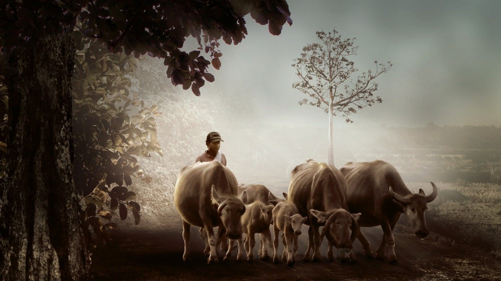 கால்நடை வளர்ப்பாளர் இடர்களை தீர்க்கும்படி கண்டப் போராட்டம்