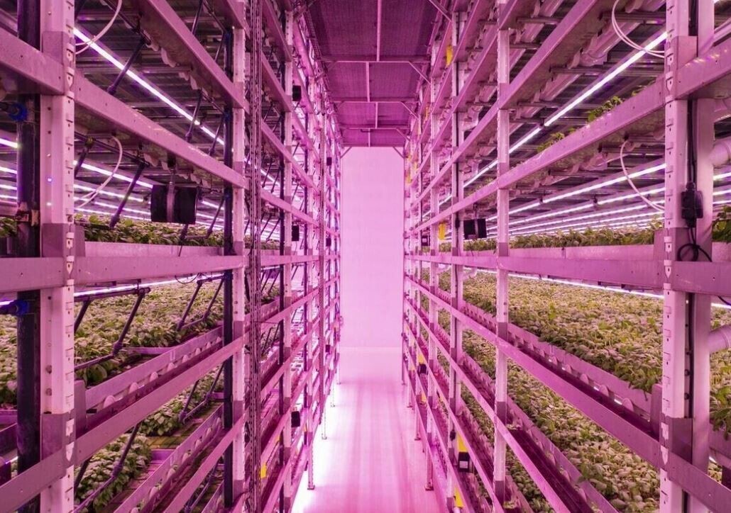 Vertical Farming