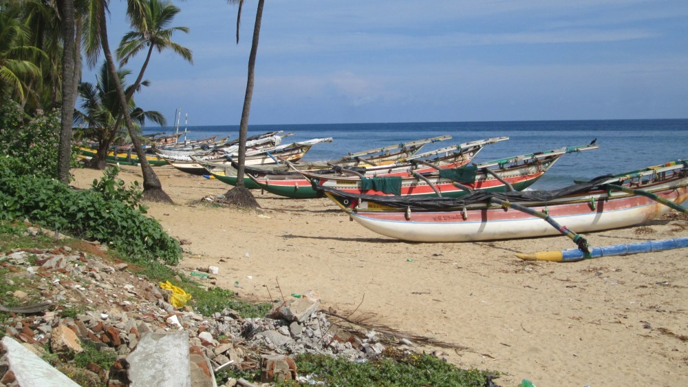 கடல் மீன்படி பாதிப்பு