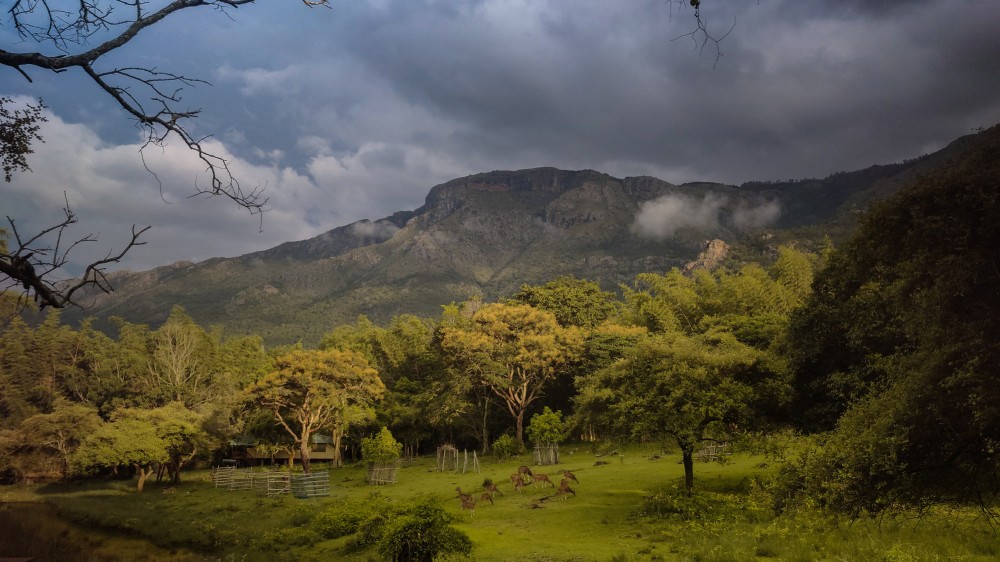 தமிழர்களின் பூர்வீகத்தை அழித்துக்கொண்டிருக்கும்  பௌத்த சிதைவுகள்