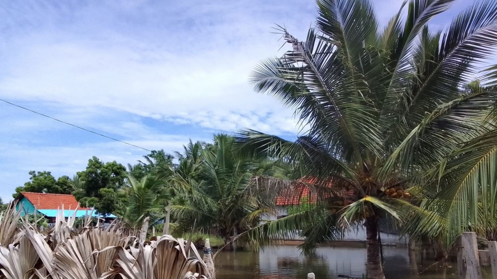 தொடர்ச்சியான மழையால் மன்னாரில் தாழ்நிலத்தில் வாழும் மக்கள் இடம்பெயர்வு