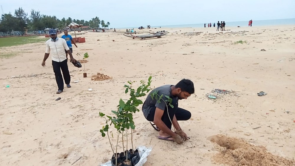 புங்கன் மரக் கன்றுகள் நாட்டப்பட்டுள்ளன