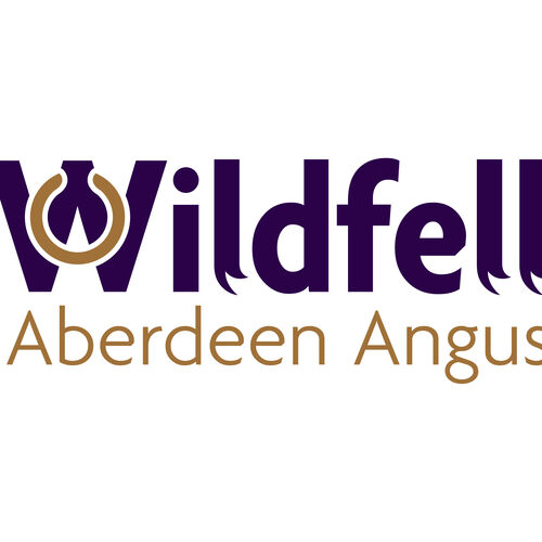 Wildfell Aberdeen Angus  Family Cook Box