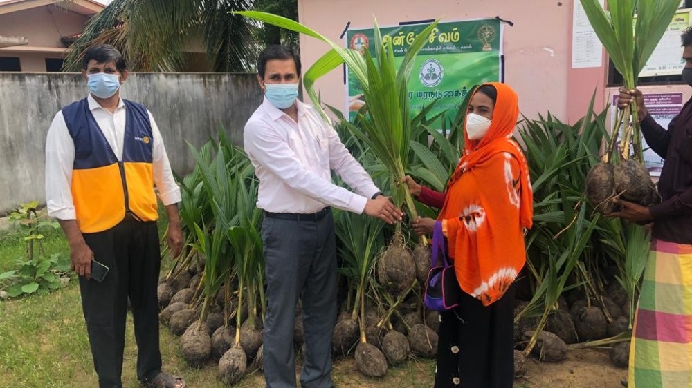 வரப்பயர மரநடுகை திட்டத்தில் மன்னாருக்கு 500 தென்னங் கன்றுகள் பயனாளிகளுக்கு விநியோகம்.