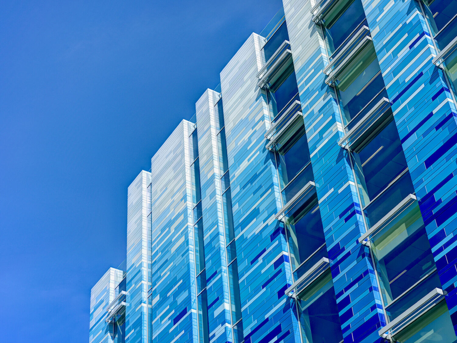 Battersea Dogs & Cats Home, London