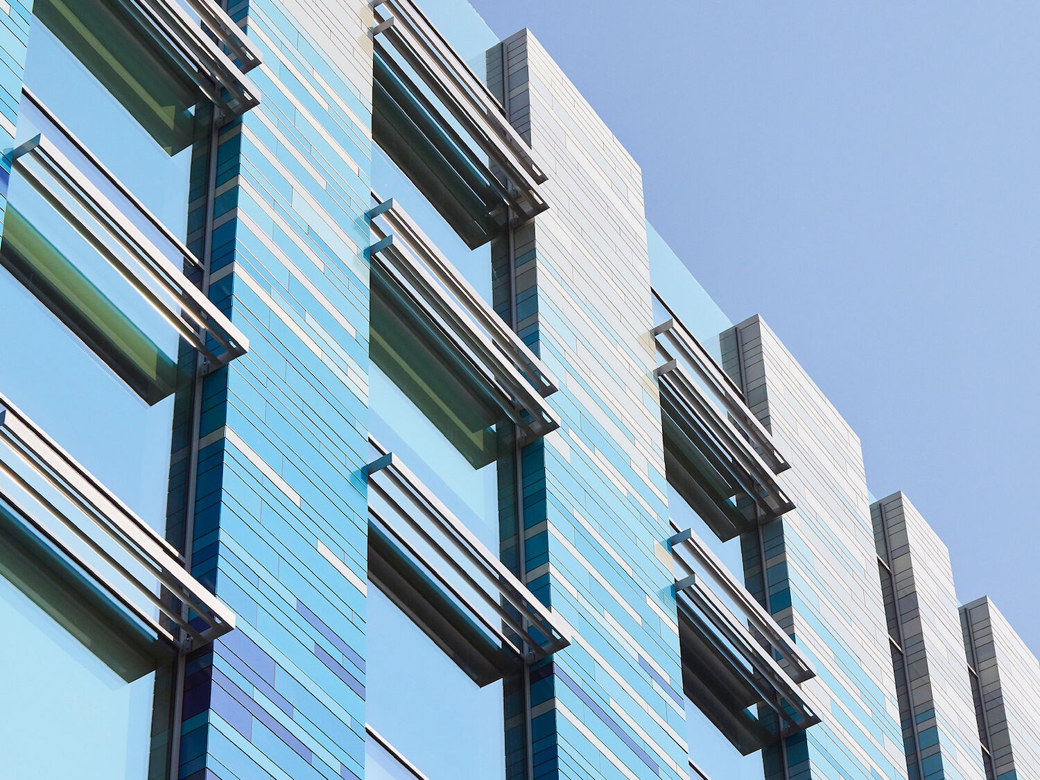 Battersea Dogs & Cats Home, London