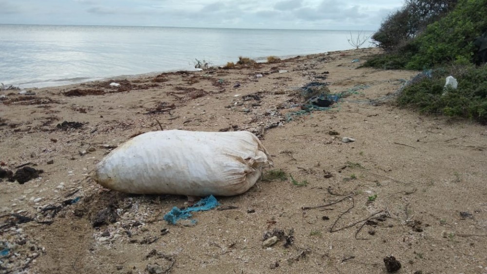 கடற்படையினரால் மீட்கப்பட்ட மஞ்சள் மூடை