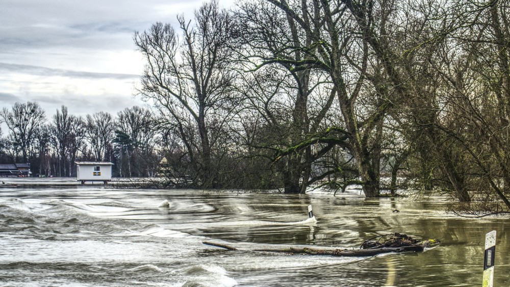மன்னாரில் பெய்துவரும் மழையால் பலர் இடம்பெயர்வு