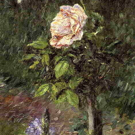 Rose with Purple Iris, Garden at Petit Gennevilliers