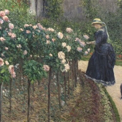 Roses, Garden at Petit Gennevilliers