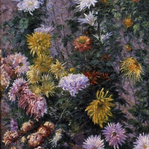 White and Yellow Chrysanthemums, Garden at Petit Gennevilliers