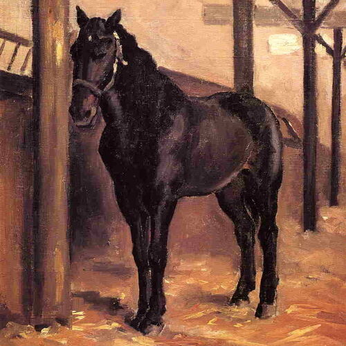 Yerres, Dark Bay Horse in the Stable