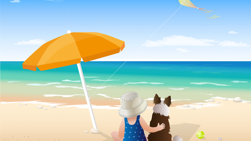 பட்டம் விடும் சீசன்சோபை இழந்த நிலை