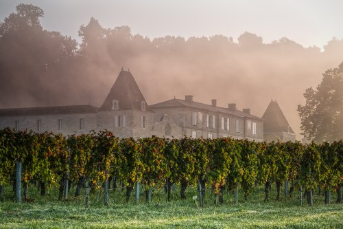 Château Lassègue  - A Reborn Saint-Émilion Estate Comes of Age