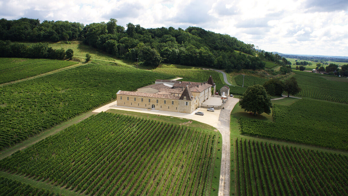 Château Lassègue  - A Reborn Saint-Émilion Estate Comes of Age