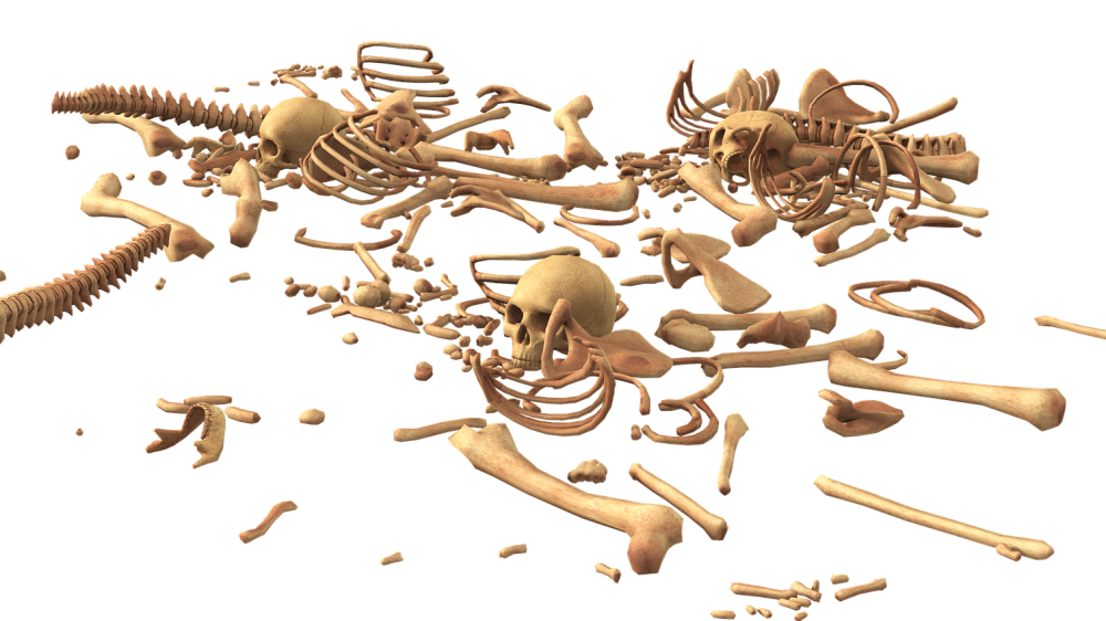 சின்னமலை கடற்கரையில் ஒதுங்கிய மனித எச்சங்கள்