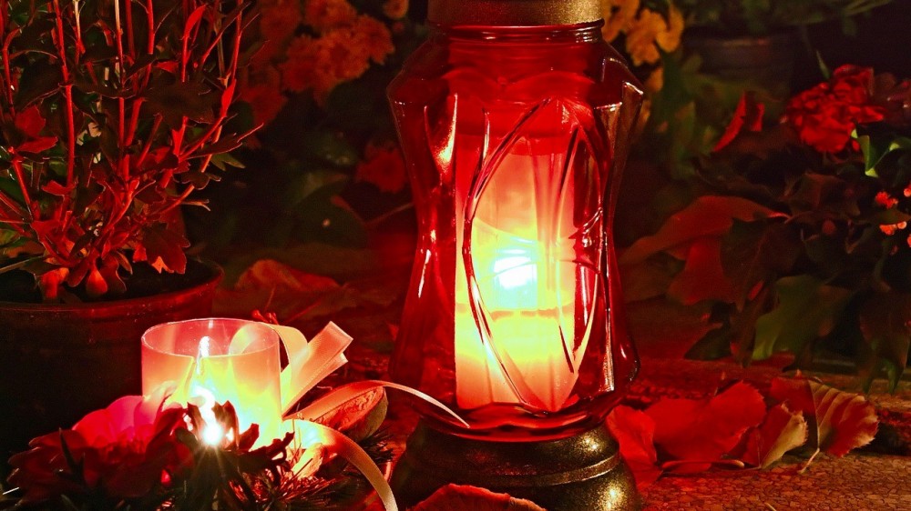 அடைக்கலம் கொடுத்ததற்கு வெகுமதி மரணம்