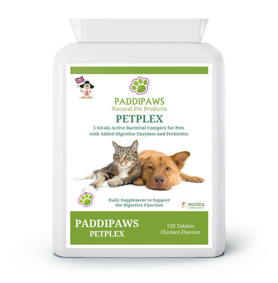 Paddipaws