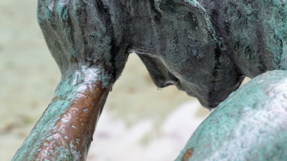 சீனாவின் கரிசனையில் சந்தேகமே உள்ளது - சுரேஷ் க.பிரேமச்சந்திரன்