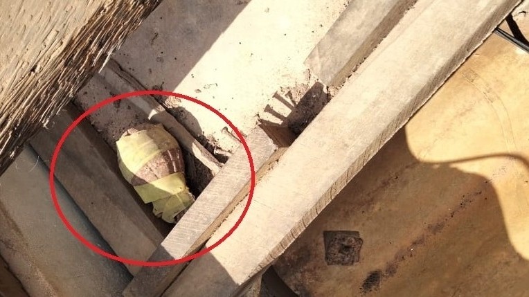 வீட்டுக் கூரைக்குள் கைக்குண்டு