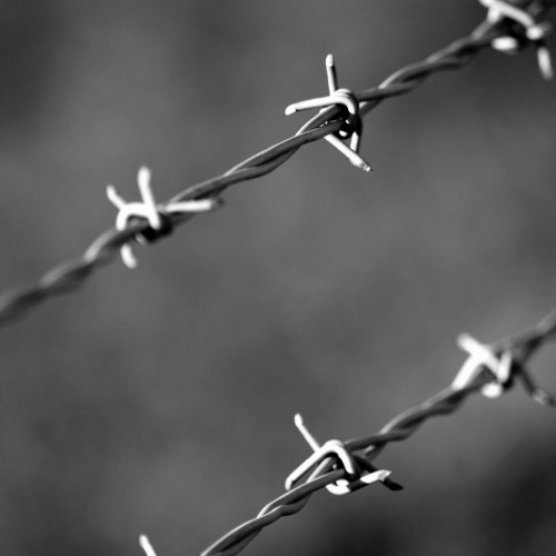 Are you wired for neuroplastic pain?