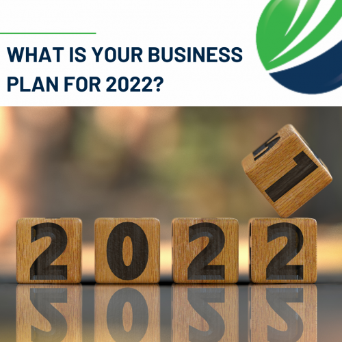 What is your business plan for 2022?