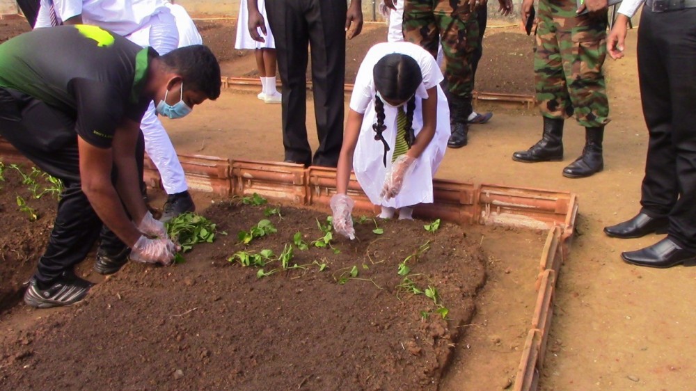சுபீட்சத்தின் நோக்குத் திட்டத்தின் கீழ் வீட்டுத் தோட்டம்