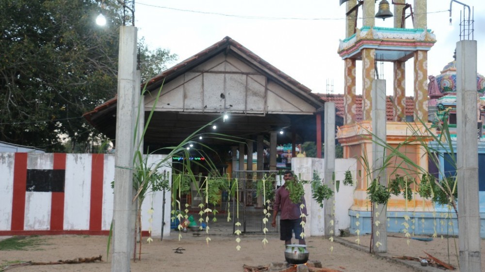 மன்னாரில் பொங்கல் விழா