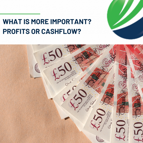 What is more important? Profits or cashflow?