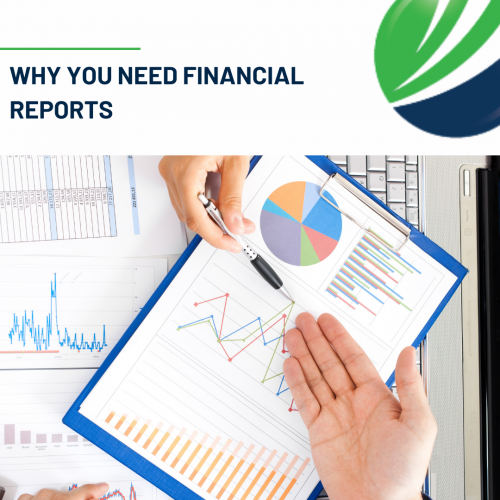 Why you need financial reports