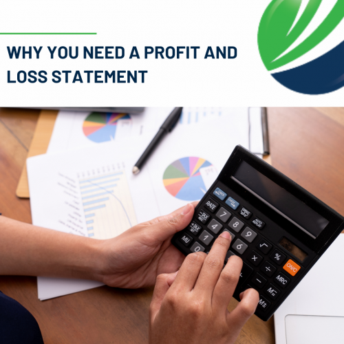 Why you need a profit and loss statement