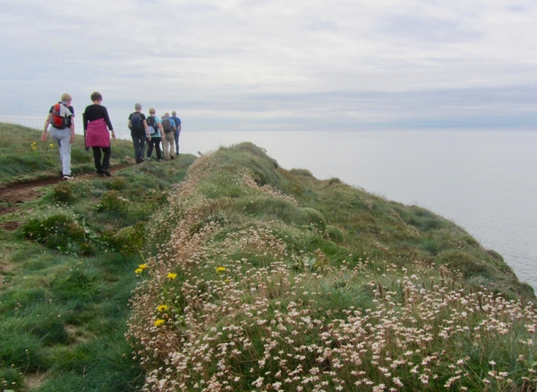 Journeying Poetry Competition