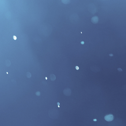 Water Filter Housings, Water Filter Cartridges, Sediment Filters