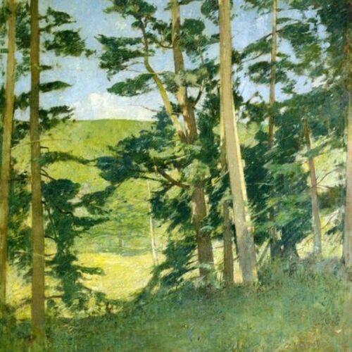 A Clearing Beyond the Trees