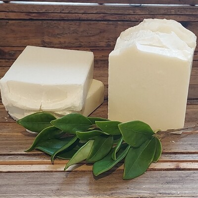 SALT BAR SOAP