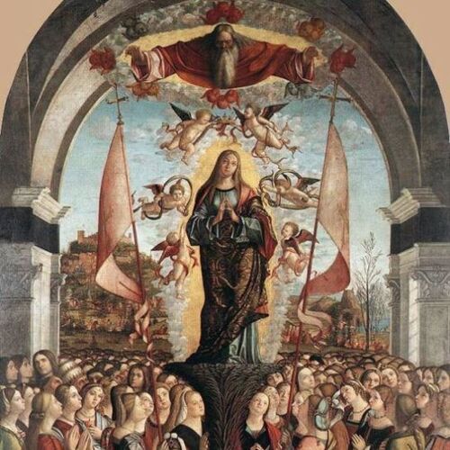 Apotheosis of Saint Ursula