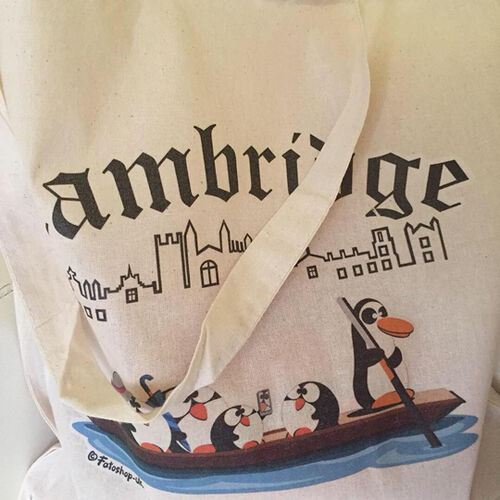 'Punting in Cambridge' Shopper