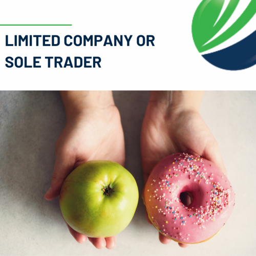 Limited company or sole trader