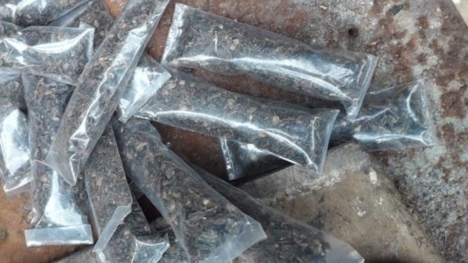 யாழ்நகரில் நடமாடி விற்பனையில் கஞ்சா