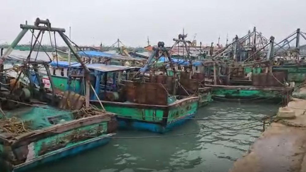 மீனவர்கள் தொழிலுக்காக இந்தியாவின் வேறு பகுதிக்கு படையெடுப்பு