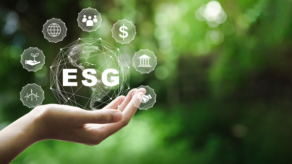 How do purpose and ESG interrelate?