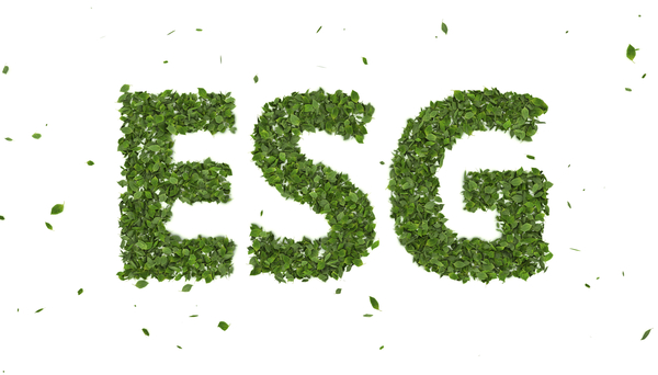 What is the difference between ESG and purpose?