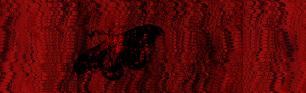 **Peppered on Parched Branches**