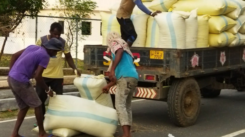 நாளாந்தம் 3500 ரூபாவுக்கு மேல் வருமானம் பெறும் கூலித்தொழிலாளர்