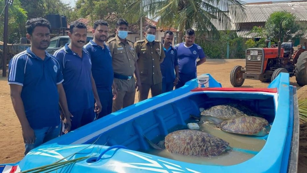 5 விலை மதிப்புக் கொண்ட பேராமைகள்  வீட்டின் குளியறையிலிருந்து மீட்பு