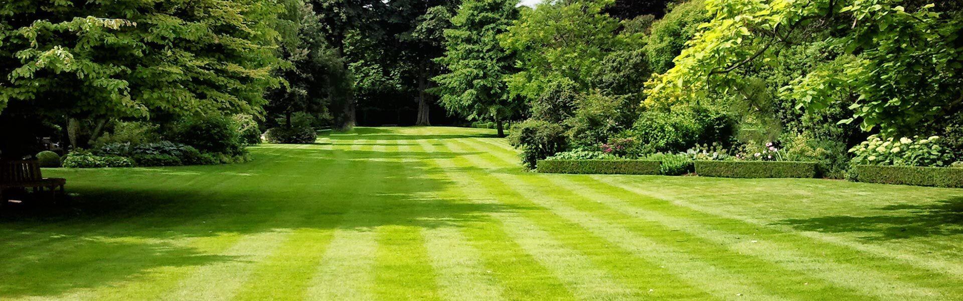 Bromley Garden maintenance