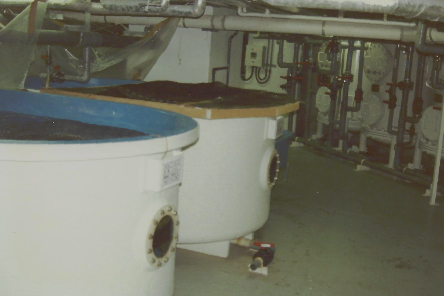 Aquaculture Revolutionised