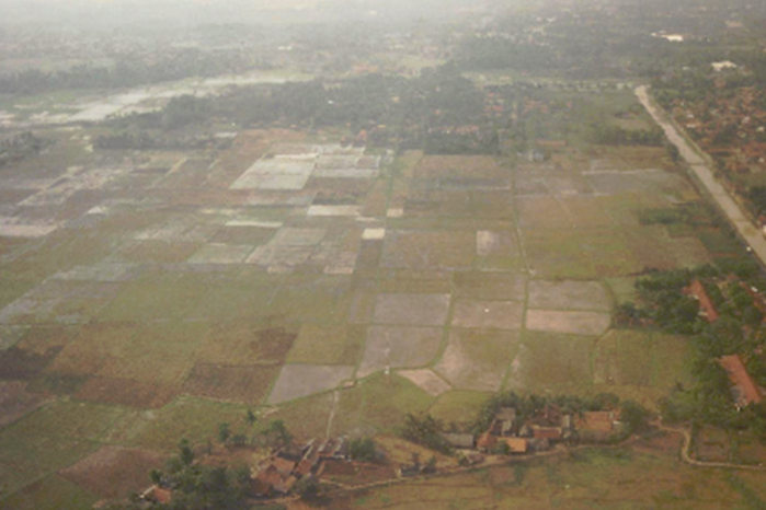 Extensive Pond Systems