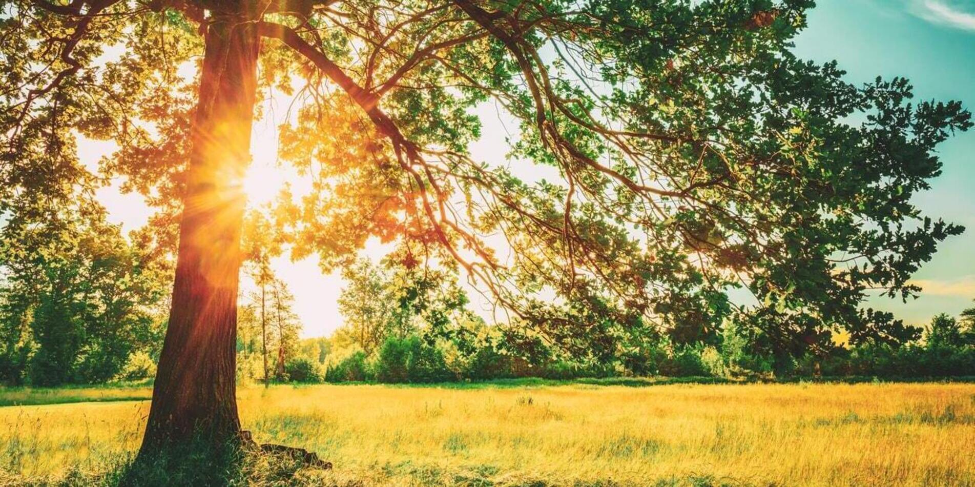 Wellness centre in Yarn